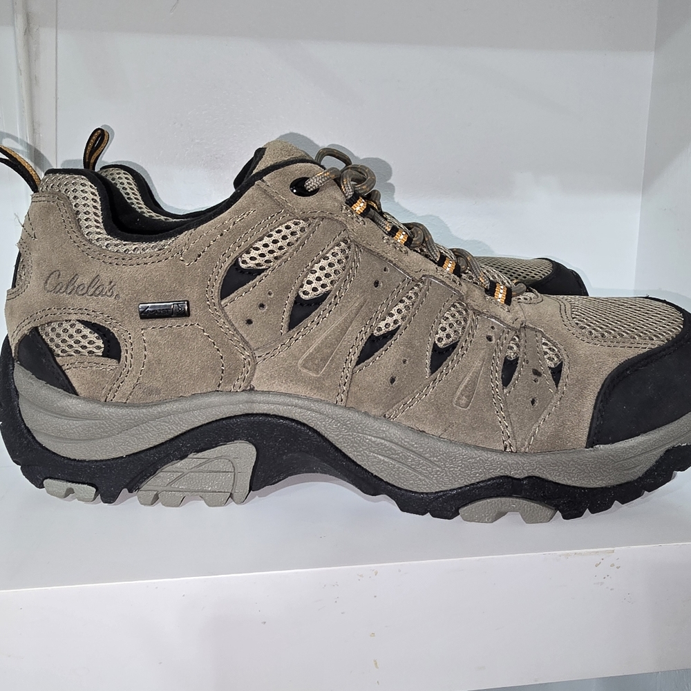 Cabela's Ascend Lisco Low Waterproof Hiking Shoes